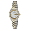 Đồng hồ Citizen Women's Quartz Watch with Crystal Accents, EQ0534-50D