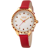 Burgi Quartz Crystal Silver Dial Ladies Watch BUR161RD