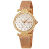 Burgi Quartz Silver Dial Ladies Watch BUR263TRI