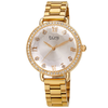 Burgi Quartz Silver Dial Ladies Watch BUR269YG