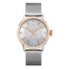 JBW Belle Two Tone Stainless Steel Diamond Ladies Watch J6339E