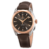 Omega Seamaster Aqua Terra Automatic Chronometer Men's Watch 231.23.42.22.06.001