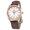 Omega Seamaster Aqua Terra Automatic Men's Watch 220.23.41.21.02.001