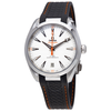Omega Seamaster Aqua Terra Automatic Silver Dial Men's Watch 22012412102002 220.12.41.21.02.002