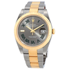 Rolex Datejust 41 Grey Dial Stainless Steel and 18K Yellow Gold Men's Watch 126333GYRO