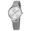 Skagen Anita Silver Dial Stainless Steel Mesh Ladies Watch SKW2149