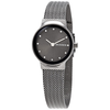 Skagen Freja Grey Dial Stainless Steel Ladies Mesh Ladies Watch SKW2700