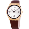 Swatch SKIN SUIT COFFEE Quartz Silver Dial Men's Watch SS07G100