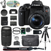 Canon EOS Rebel T6i/750D DSLR Camera Bundle with Canon EF-S 18-55mm IS STM Lens + Canon EF 75-300mm III Lens + 64GB SDXC Memory Card + Accessory Kit - International Version