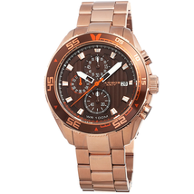 Akribos XXIV Brown Matte Men's Watch AK646RG