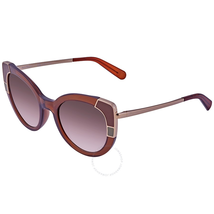 Ferragamo Brown Gradient Cat Eye Ladies Sunglasses SF890S 210 52