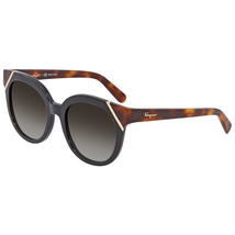 Ferragamo Dark Grey Gradient Cat Eye Ladies Sunglasses SF836S00653