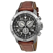 Citizen Eco-Drive Perpetual Calendar Chronograph Men's Watch BL5250-02L