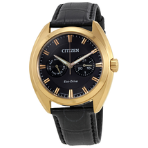 Citizen Paradex Eco-Drive Black Dial Black Leather Men's Watch BU4013-07H