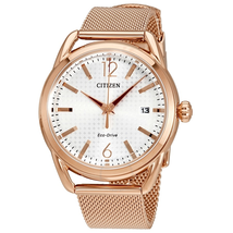 Citizen Drive Silver Dial Ladies Watch FE6083-72A