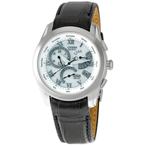 Citizen Calibre 8700 Eco-Drive Perpetual Calendar Men's Watch BL8000-03A