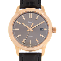 IWC Ingenieur Automatic Men's Watch IW357003