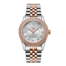 JBW Carina Quartz Diamond Crystal Silver Dial Ladies Watch J6368C