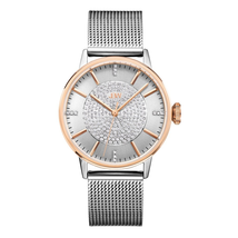 JBW Belle Two Tone Stainless Steel Diamond Ladies Watch J6339E