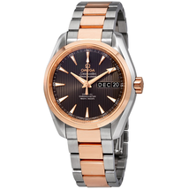 Omega Aqua Terra Annual Calendar Automatic Chronometer Grey Dial Men's Watch 231.20.39.22.06.001