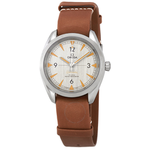 Omega Seamaster Railmaster Brushed Grey Dial Automatic Men's Watch 220.12.40.20.06.001