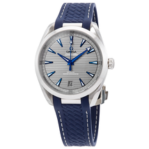 Omega Seamaster Aqua Terra Automatic Men's Watch 220.12.41.21.06.001