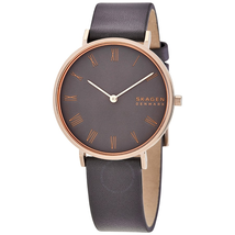 Skagen Hald Quartz Grey Dial Ladies Watch SKW2816