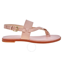 Cole Haan Ladies Anica Thong Sandal W12671