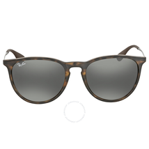 Ray Ban Erika Classic Tortoise Sunglasses RB4171 710/71 54
