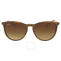 Ray Ban Ray-Ban Erika Brown Gradient Sunglasses RB4171 865/13 54 RB4171 865/13 54