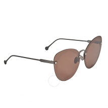 Salvatore Ferragamo Brown Butterfly Ladies Sunglasses SF178S FIORE 067 63