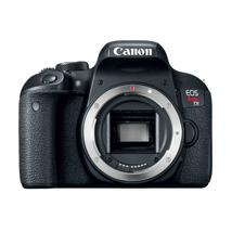 Canon EOS REBEL T7i Body
