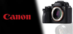 SAU 40 NĂM SỬ DỤNG CANON, PHÓNG VIÊN ẢNH DAVID BURNETT ĐÃ CHUYỂN SANG DÙNG MÁY ẢNH MIRRORLESS SONY