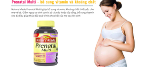 Vitamin Tổng Hợp Cho Bà Bầu Nature Made Multi Prenatal