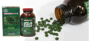 Tảo Lục Chlorella Royal DX