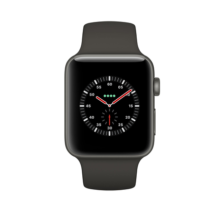 Apple Watch Edition Series 3 38mm Smartwatch - Gray