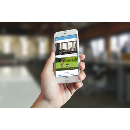 Blink Home Security Camera System with Motion Detection, HD Video, Battery-Powered, Cloud Storage and Wall Mount for Your Smartphone - 5 Camera Kit