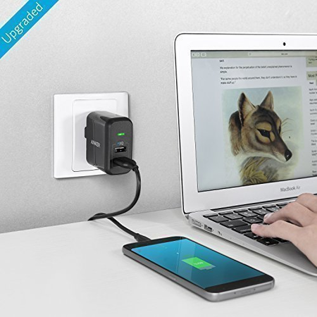 Anker 2-Port 24W USB Wall Charger PowerPort 2 with PowerIQ for iPhone X/ 8/ 7 / 6s / Plus, iPad Air 2 / mini 3, Galaxy S Series, Note Series, LG, Nexus, HTC and More