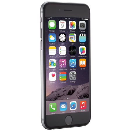 Apple iPhone 6 Space Gray 16GB Unlocked Smartphone (Certified Pre-Owned)
