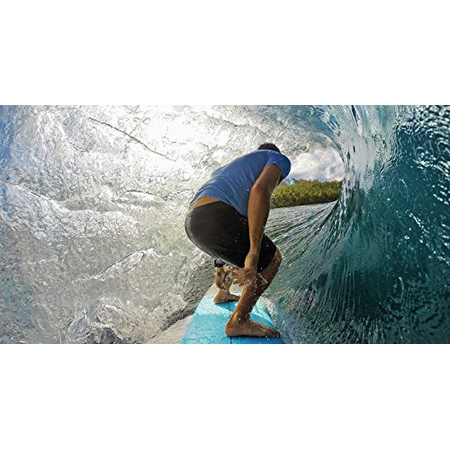 GoPro Smart Remote (GoPro Official Accessory)