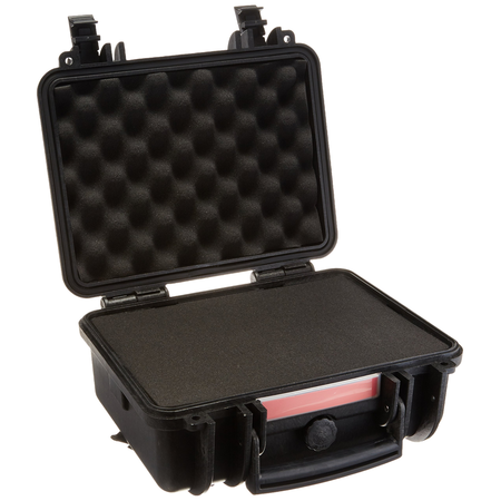 AmazonBasics Hard Camera Case - Small