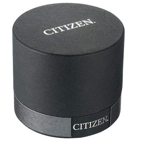 Đồng hồ Citizen Men's Quartz Stainless Steel Watch with Day/Date, AG8340-58E
