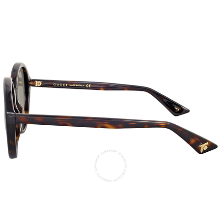 Gucci Brown Gradient Havana Round Sunglasses GG0023S 002 55