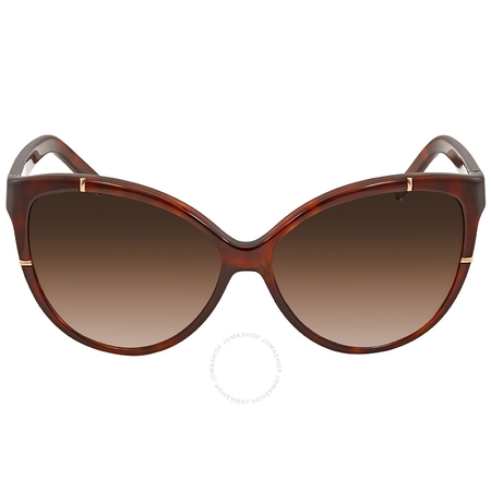 Chloe Brown Gradient Cat Eye Sunglasses CE620S 218 59
