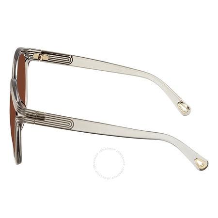 Chloe Brown Grey Gradient Round Sunglasses CE738S 035 57 CE738S 035 57