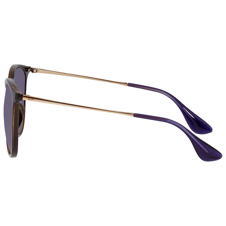 Ray Ban Erika Dark Violet Classic Round Ladies Sunglasses RB4171F 639276 57