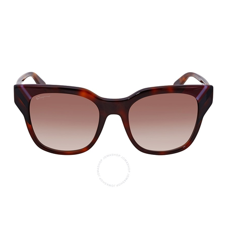 Ferragamo Ferragamo Brown Gradient Rectangular Ladies Sunglasses SF875S 238 53 SF875S 238 53