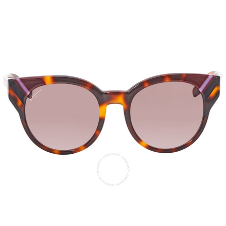 Ferragamo Tortoise Sunglasses SF883SA 238 53 SF883SA 238 53