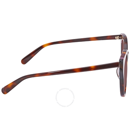 Ferragamo Tortoise Sunglasses SF883SA 238 53 SF883SA 238 53