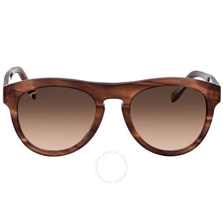 Ferragamo Brown Gradient Round Sunglasses SF828S 216 54 SF828S 216 54